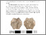 [thumbnail of Webley_A pilgrim badge of St John Lateran_AM.pdf]